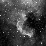 North American 
Nebula