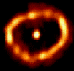 Hubble image of the gas shell expelled from Nova Cygni 1992, in the 
center