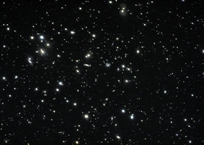Abell 2151, 
cluster of galaxies in Hercules