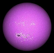 The biggest sunspot group in 
years in Ca K