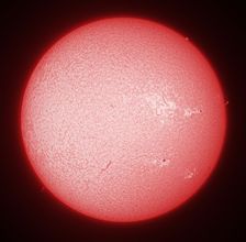 The active Sun 
in Halpha on 2012 June 8