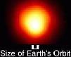 The red supergiant Betelgeuse, 
compared to Earth's orbit around the Sun