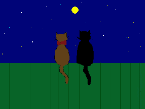 cats and moon