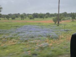 The lovely Texas Hill Country